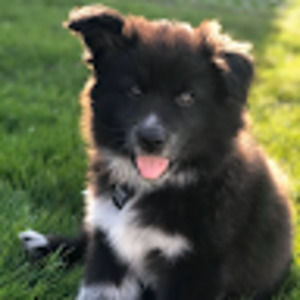 Meet your Posher, Margo